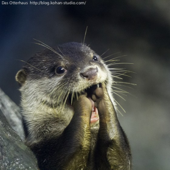 After the bottle was empty, I ate the bottle.  nothing escapes the nuances of my palate.