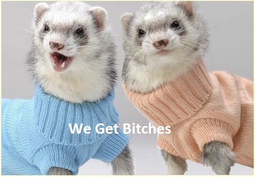 BUY OFFSEHFL BERS AND GET BITCHES