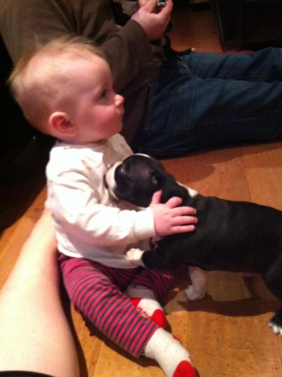 If you are old to the beer game, you probably never tried his, if you are a 2012 n00b, you probably offered up a Cherry Rye for this.  Fuck everyone.