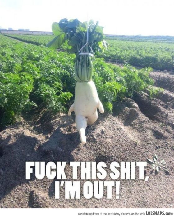 If this is a sign of sours and old ales to come, I am out.