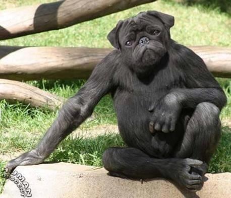 This is a powerful hybrid of two things I love, maintaining power and beauty at the same time.