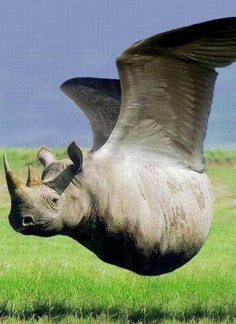 It is tough to imagine that massive 12% abv could have the fruits and grace of a complex american wild ale, but it pulls it off straight up Manticore style.