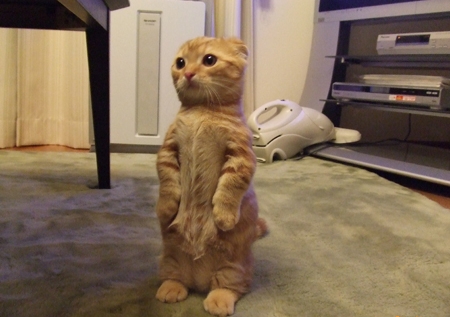 What's that you say? $50 1 per person brewery release? IN THE MIDWEST? Well I never.