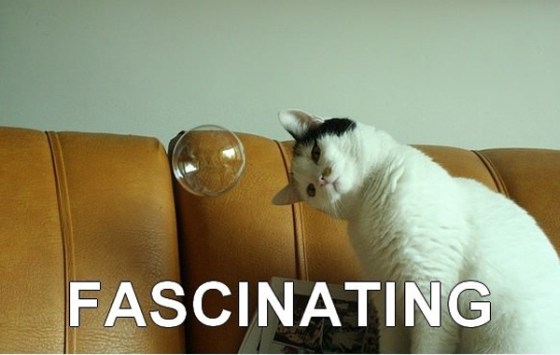 At first you are like "saison" then you be like "bourbon" then the salesman is like "DARK" and then you are locked in a 36 month lease explaining shit to your wife.