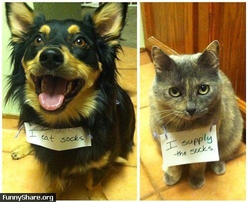 The interplay between the resin and the citrus aspects of this beer shows some serious fucking hop team work.