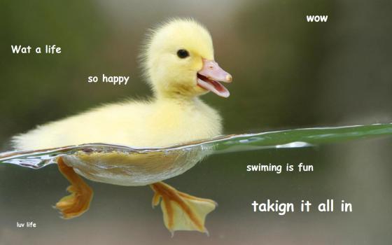 LOL i haed a fruit stout am cicerony now, expert time