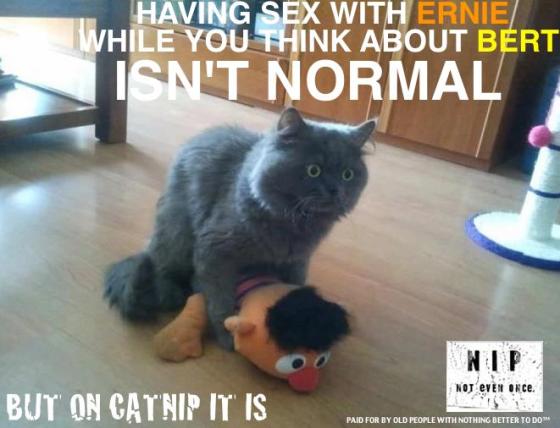 Mixing a barleywine with shitty cabernet ISN'T NORMAL.  Not even one more hybrid like this. Not one.