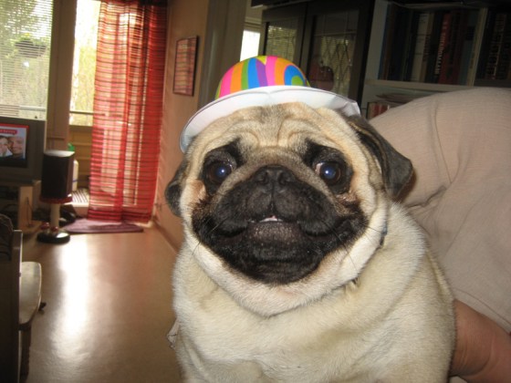 A gentle flanders with imperceptible abv, my face be all like