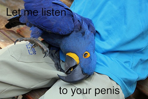 This beer is a great listener.