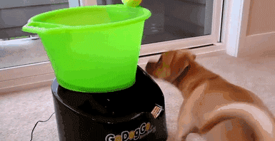 drop this in the cup, then run to the GI specialist.