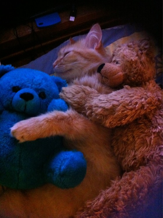 I hope you RSVPed to the sticky berry cuddle sesh, bring your footie berry PJs