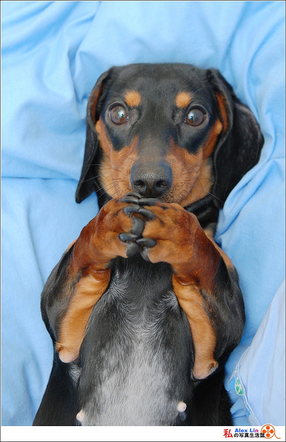 Alright, before this shit blows up go toss up your tired ass FT: King Henry offer. Schemes and dreams.