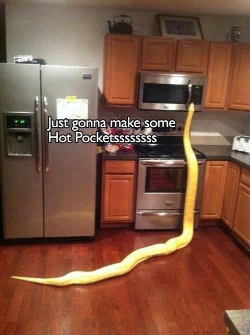 The abv is completely masked on this.  Prepare to eat all the Totinos pizza rolls up in the house.