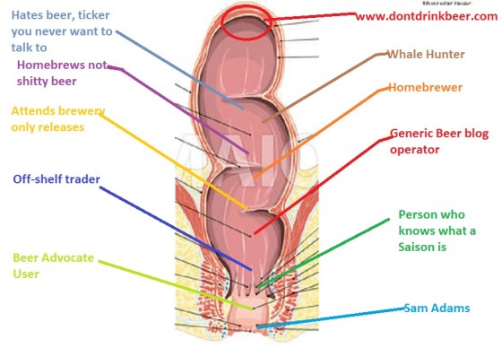 Anatomy of the Craft Beer Anoos