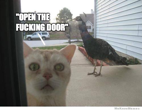 You pop this beer and a sense of urgency rolls over you.