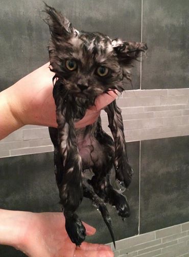 If you thought I was gonna go for some low hanging euphemism here you are wrong, and your vagina is dry.