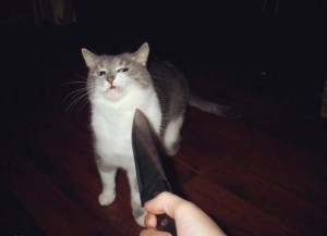 "FT: Vanilla Rye" offers be looking like