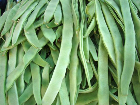 Everybody loves Romano