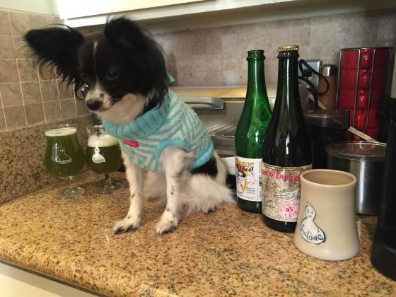 hot bitches at all my shares bruxellis