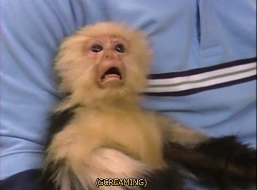 tfw u remembr what u traed for a bottle